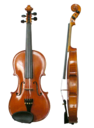 Geige Violine lernen mit Mario Liebig auf www.MarioMusik.de